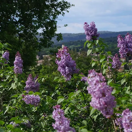 Les Lilas Des Chenes Piolenc Exterior photo