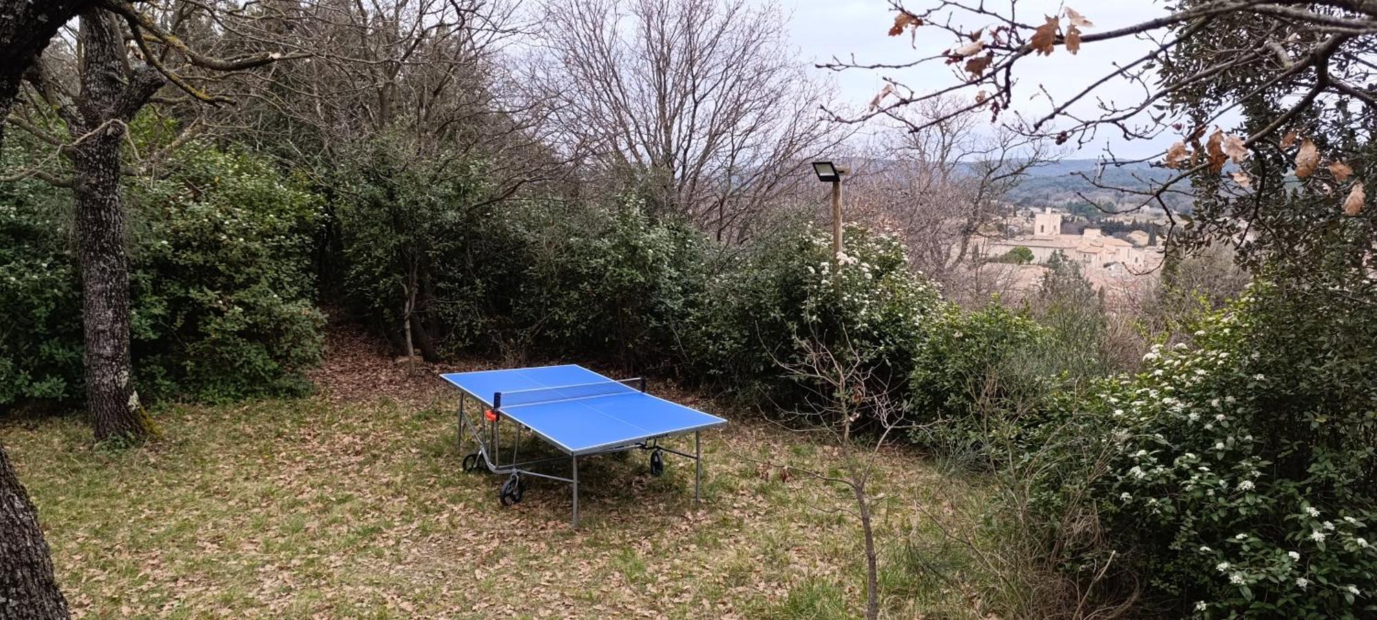 Holiday home Les Lilas Des Chenes Piolenc