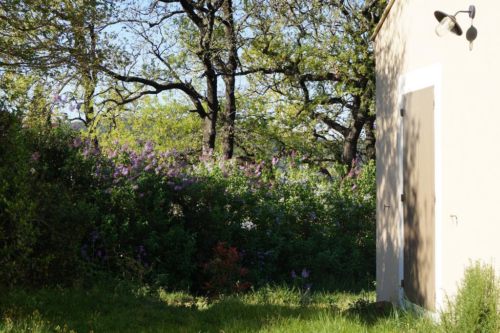 Les Lilas Des Chenes Holiday home Piolenc