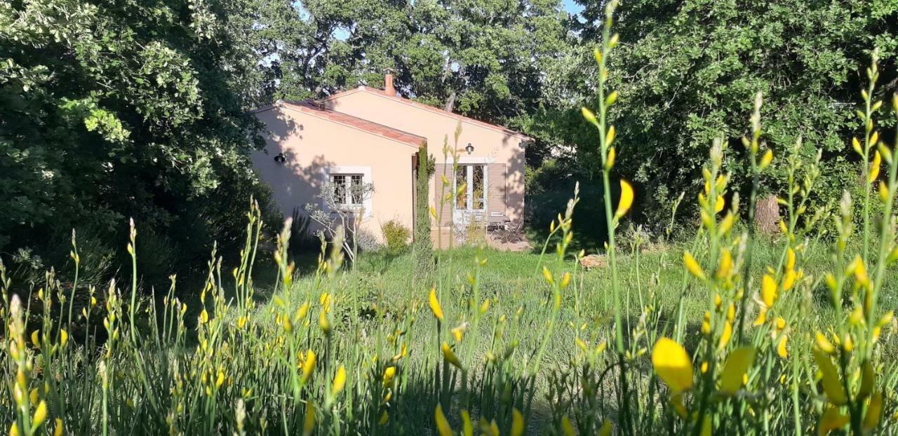 Les Lilas Des Chenes Holiday home Piolenc